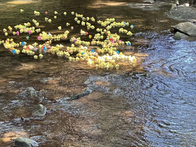 Make~A~Wish Duck Derby